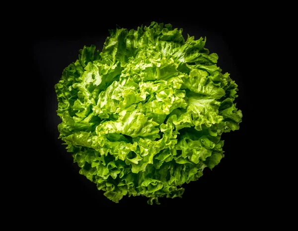 Verse Sla Salade Geïsoleerd Een Zwarte Achtergrond — Stockfoto