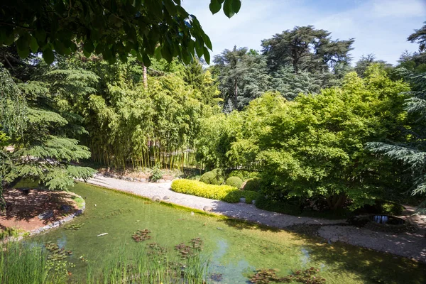 Pond Traditional Japanese Garden Zen Background — Stok fotoğraf