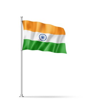 India flag, 3D illustration, isolated on white