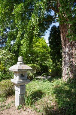 Traditional lamp in a japanese garden. Zen background