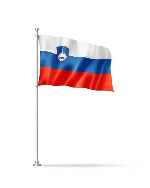 Slovenya Bayrağı Illüstrasyon Beyaza Izole Edilmiş — Stok fotoğraf