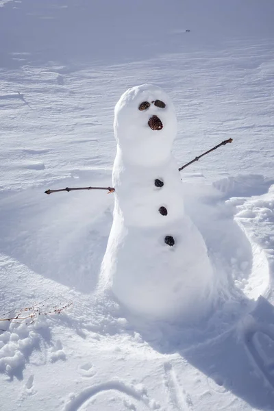 Snowman Snow Winter Sunny Day — Stockfoto