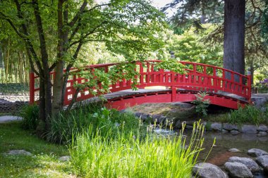 Traditional red wooden bridge on a japanese garden pond. Zen background