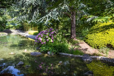 Pond in a traditional japanese garden. Zen background