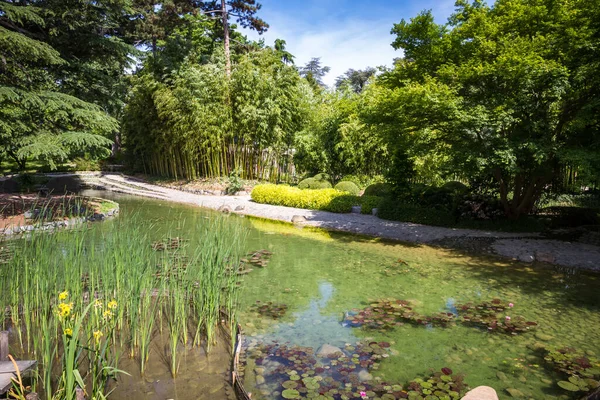 Pond Traditional Japanese Garden Zen Background —  Fotos de Stock