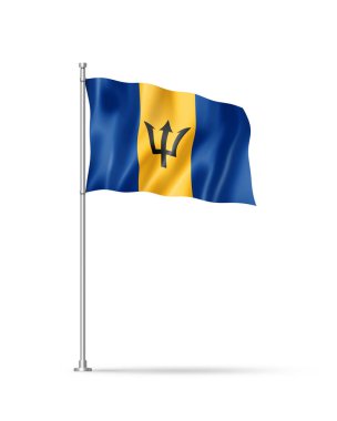 Barbados bayrağı, 3 boyutlu illüstrasyon, beyaz üzerine izole edilmiş
