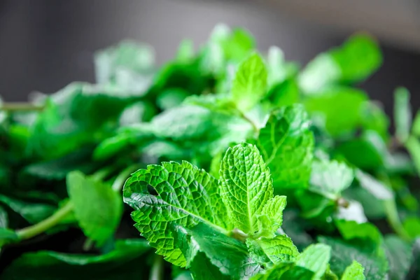 Bunch Fresh Mint Closeup View Food Background — Stock Photo, Image