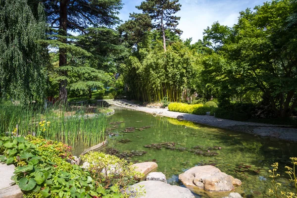 Pond Traditional Japanese Garden Zen Background — Fotografia de Stock