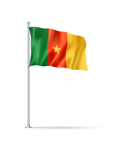 Kamerun Flagge Illustration Isoliert Auf Weiß — Stockfoto