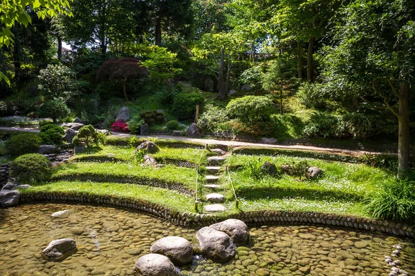 Pond Traditional Japanese Garden Zen Background — Stok fotoğraf