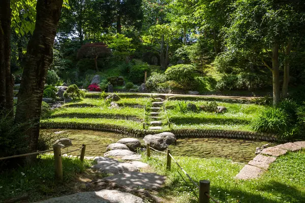 Λίμνη Ένα Παραδοσιακό Ιαπωνικό Κήπο Ζεν Φόντο — Φωτογραφία Αρχείου