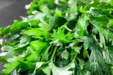 Bunch of fresh parsley stem closeup view