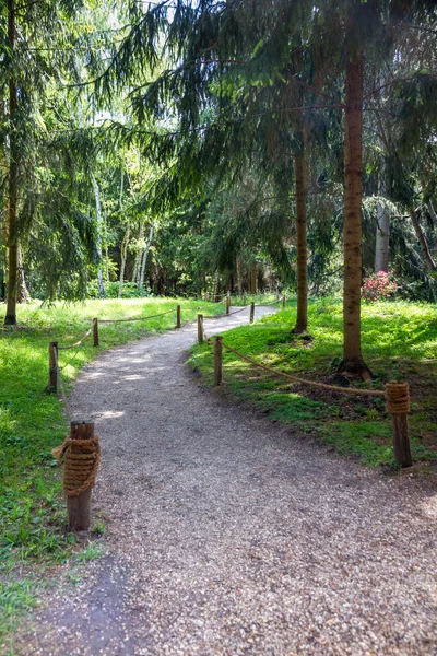 Yeşil Park Ormanında Küçük Bir Patika Zen Arkaplanı — Stok fotoğraf