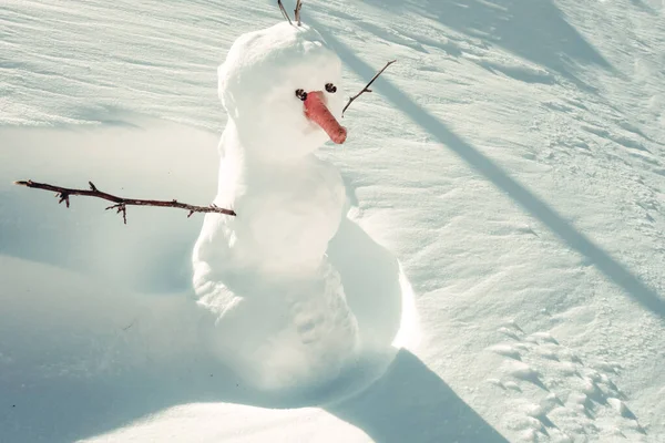 Snowman Snow Winter Sunny Day — Stok fotoğraf