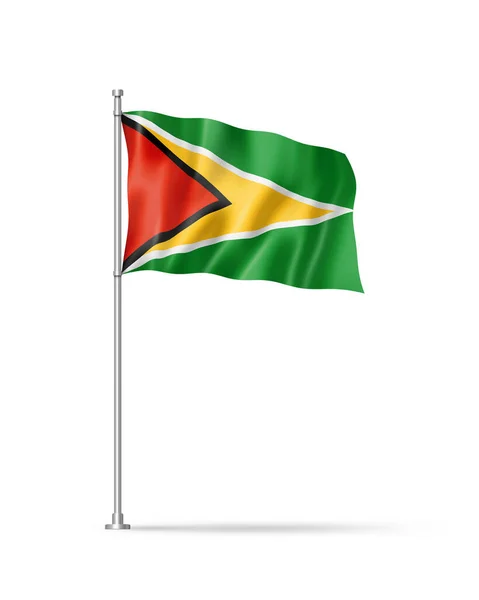 Guyana Flagga Illustration Isolerad Vit — Stockfoto