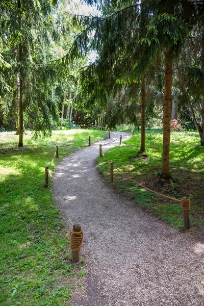 Pequeño Camino Bosque Verde Del Parque Fondo Zen — Foto de Stock