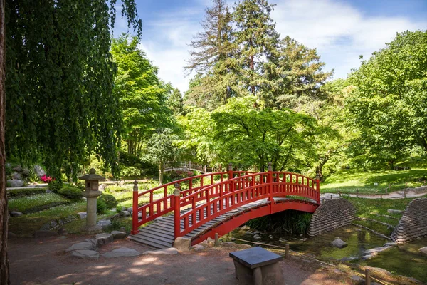 Traditional Red Wooden Bridge Japanese Garden Pond Zen Background — Zdjęcie stockowe