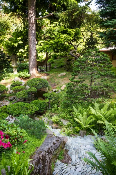 Beautiful Traditional Japanese Garden Summer Zen Background — Photo