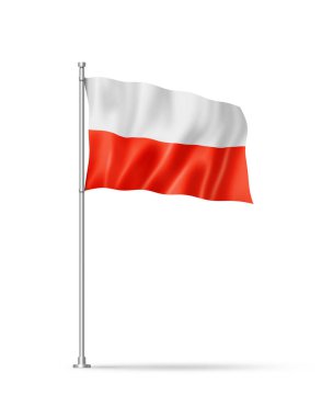 Polonya bayrağı, 3 boyutlu illüstrasyon, beyaz üzerine izole edilmiş