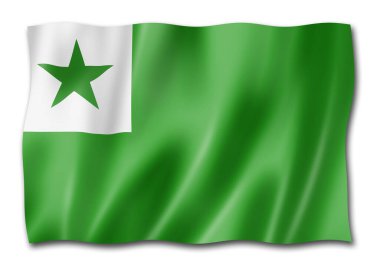 Esperanto language flag. Waving banner collection. 3D illustration clipart