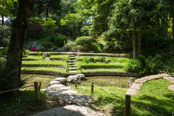 Pond Traditional Japanese Garden Zen Background – stockfoto