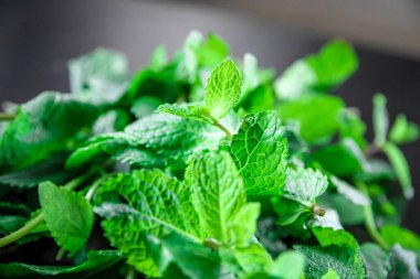 Bunch of fresh mint closeup view. Food background