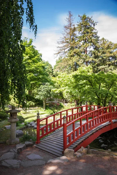 Traditional Red Wooden Bridge Japanese Garden Pond Zen Background — Stockfoto