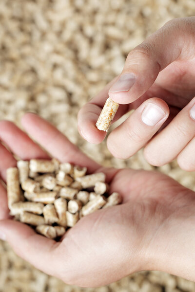 Wood Pellets