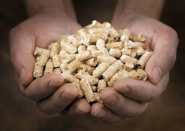 Pellets de madera — Foto de Stock