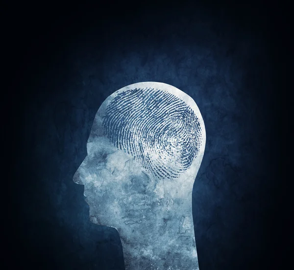 Unique Brain — Stock Photo, Image