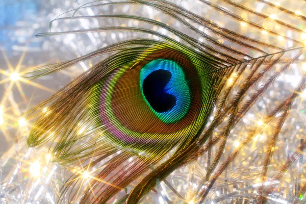 Peacock feather and sparkling lights — Stock Photo, Image