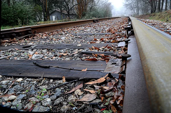 Close up of railroad tracks — Stock Photo, Image