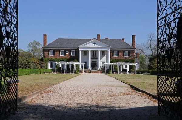 Boone hall plantacji w charleston w Południowej Karolinie — Zdjęcie stockowe