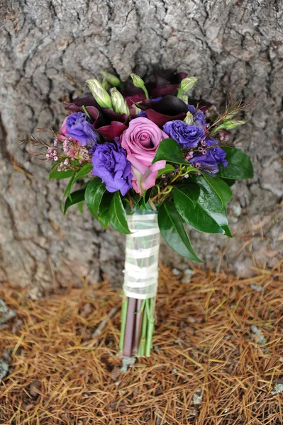 Wedding bouquet against a tree — Stock Photo, Image