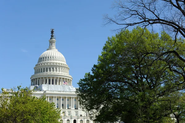 Capitolio de Estados Unidos, Washington, DC — Foto de Stock