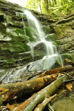 şelale Karpatlar Dağları