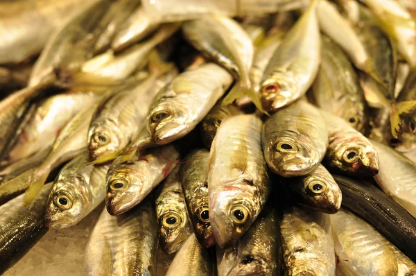 Taze balık boqueria Pazar Barcelona, İspanya — Stok fotoğraf