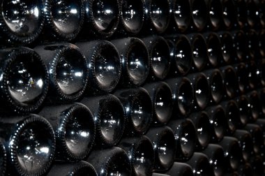 şarap mahzeni (İtalya, şarap)