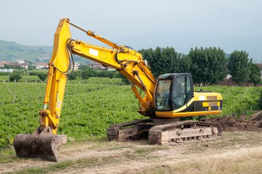 Hidrolik Paletli ekskavatör