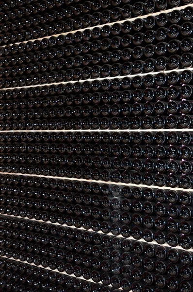 Wine cellar (Italy, Franciacorta) — Stock Photo, Image