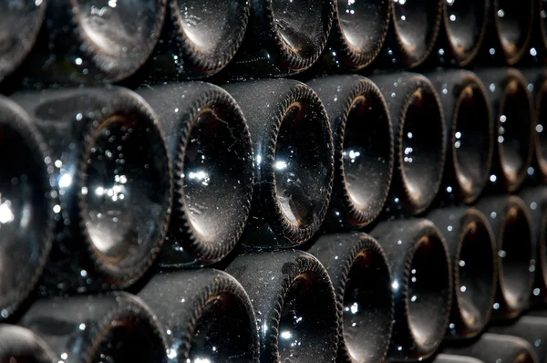 Wine cellar (Italy, Franciacorta) — Stock Photo, Image