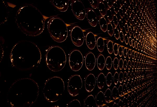 Cave à vin (Italie, Franciacorta ) — Photo