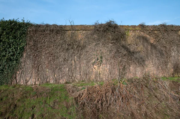 Old brick wall — Stock Photo, Image