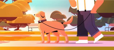 Parkta köpekle gezen genç bir adam. Erkek sahibi ve evcil hayvan konsepti olan sevimli bir evcil hayvan arkadaşı.