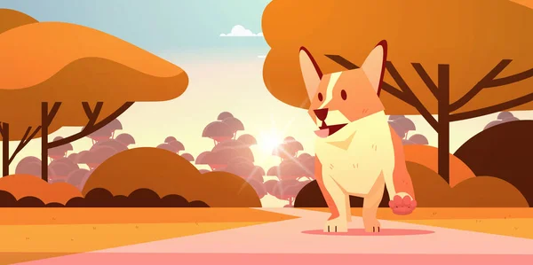 Mignon shiba inu chien marche dans parc poilu humain ami domestique animal de compagnie concept dessin animé animal — Image vectorielle