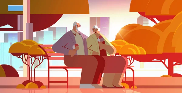 Casal sênior sentado no banco e comer sorvete feliz avós passar tempo juntos no parque —  Vetores de Stock