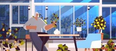 Bahçıvan kadın bahçıvan arka bahçedeki saksı bitkisiyle ilgileniyor sera ya da ev bahçesi yatay