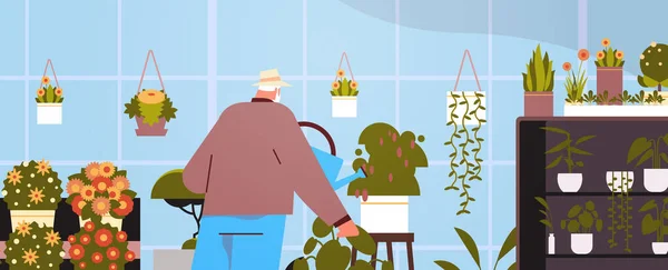 Senior man trädgårdsmästare med vattenkanna ta hand om krukväxter hemma trädgård vardagsrum eller kontor interiör — Stock vektor