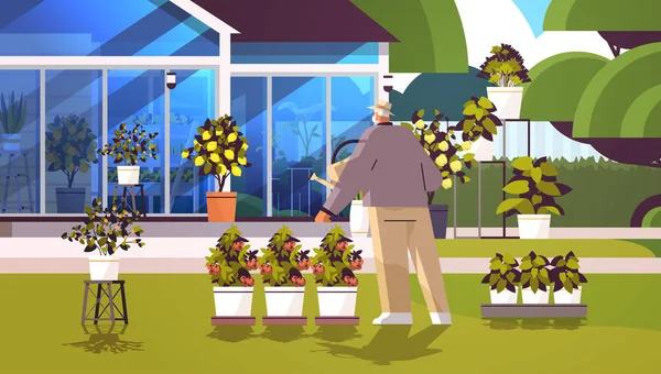 Senior man trädgårdsmästare med vattenkanna ta hand om krukväxter på bakgård växthus eller trädgård — Stock vektor
