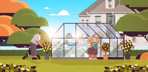 Kvinnor trädgårdsmästare som tar hand om krukväxter på bakgård växthus eller hem trädgård horisontellt — Stock vektor